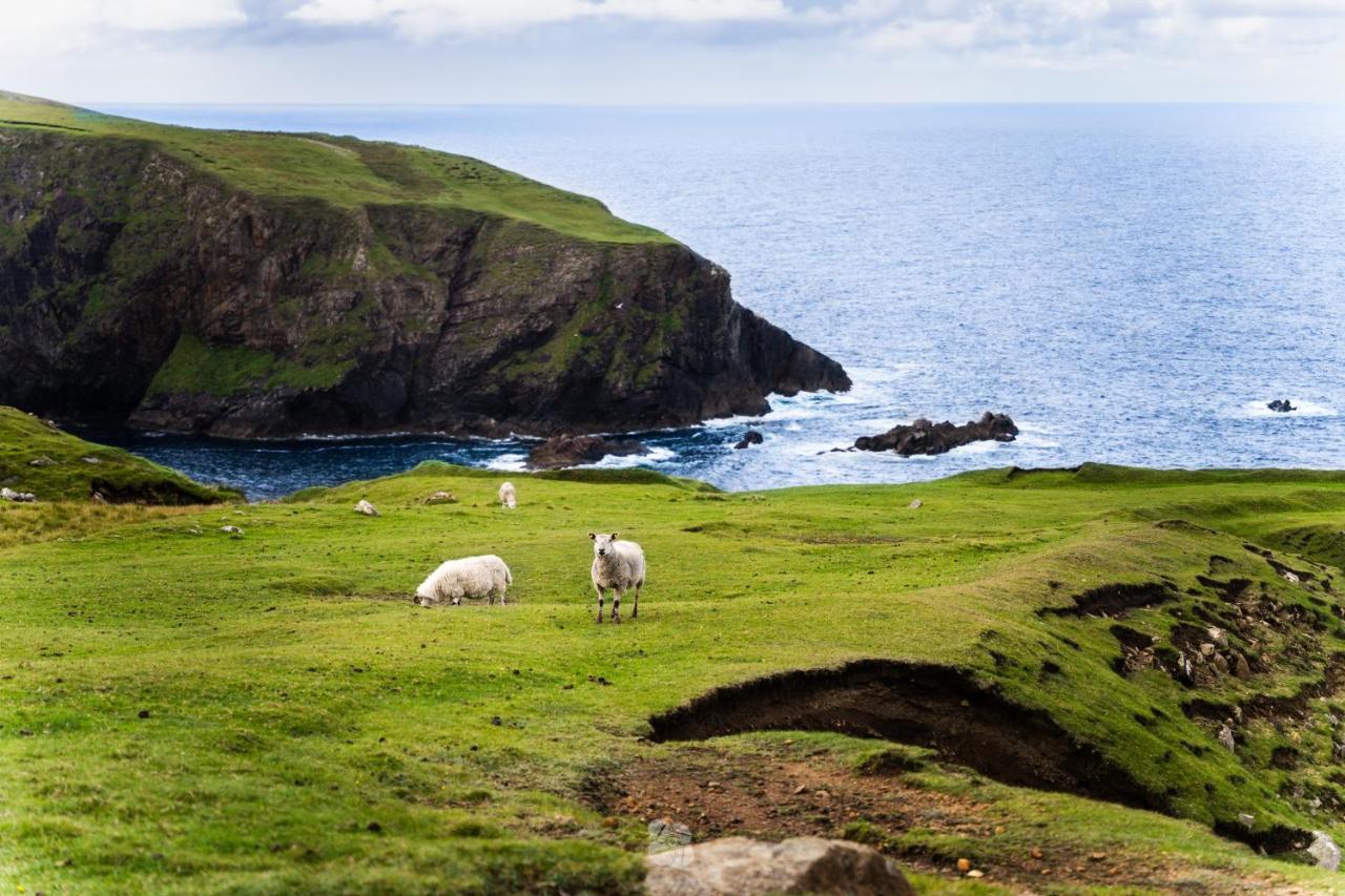 Arranmore Glamping Aphort 외부 사진